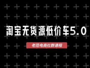 淘宝无货源2025VIP教程，​最新的淘宝无货源课程，1688代发，蓝海选品，零成本创业首选-润泽资源库