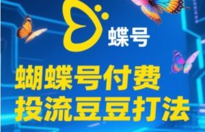 2025蝴蝶号付费投流豆豆打法,助新手快速掌握付费流量撬动自然流的核心玩法-润泽资源库