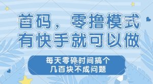 首码零撸项目，有快手就可以做，每天业务时间搞个几张不是问题【揭秘】-润泽资源库