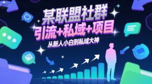 某联盟社群,引流+私域+项目,从新人小白到私域大神-润泽资源库