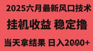 2025六月最新风口技术,无人挂G撸礼物,长期稳定 一个小时收益2k+,小白当天拿结果【揭秘】-润泽资源库