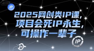 2025网创类IP课,项目会死IP永生,可操作一辈子-润泽资源库