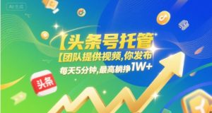 【头条号托管 】团队提供视频，你发布，每天5分钟，最高躺挣1W+【揭秘】-润泽资源库