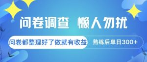 问卷调查，懒人勿扰，问卷都整理好了单价不等，做就有收益，熟练后单日3张【揭秘】-润泽资源库