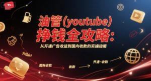 油管(youtube)挣钱全攻略：从开通广告收益到国内收款的实操指南-润泽资源库