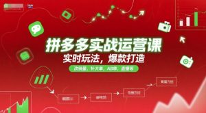 拼多多实战运营课,实时玩法,爆款打造,改销量,补大单,AB单,直播等(更新2025月)-润泽资源库