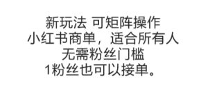 可矩阵操作,小红书商单新玩法,适合所有人,无需粉丝门槛,1粉丝也可以接单-润泽资源库