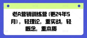 老A营销训练营(更25年6月),轻理论,重实战,轻概念,重本质-润泽资源库