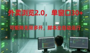 外卖浏览2.0,单窗口30+可矩阵无限多开,脚本全自动运行【揭秘】-润泽资源库