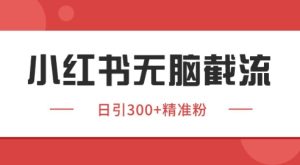 小红书截流同行客源，独家野路子获客玩法 日引200+暴力获客【揭秘】-润泽资源库