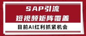 小红书某音sap赛道引流获客 自热矩阵日引200+【揭秘】-润泽资源库