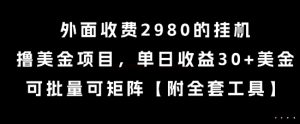外面收费2980的挂G撸美金项目，单日收益30+美金，可批量可矩阵【揭秘】-润泽资源库