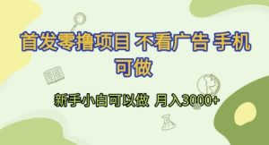 首发零撸项目 不看广告 手机可做 新手小白可以做  月入3k+【揭秘】-润泽资源库