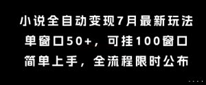 小说全自动变现7月玩法，单窗口50+，可挂100窗口，简单上手，全流程限时公布【揭秘】-润泽资源库