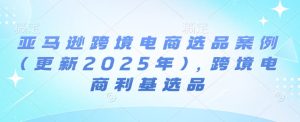 亚马逊跨境电商选品案例(更新2025年7月),跨境电商利基选品-润泽资源库