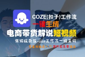 COZE(扣子)工作流一键生成电商带货解说短视频,保姆级教程,0基础快手入门-润泽资源库