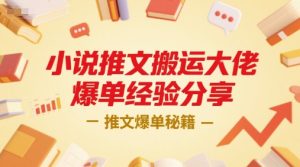 小说推文搬运大佬爆单经验分享，推文爆单秘籍-润泽资源库