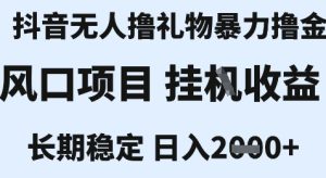 最新风口抖音无人暴力撸金技术,不违规不封号,一个小时收益2k+,小白当天拿结果【揭秘】-润泽资源库