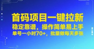 首码项目一键拉新,稳定靠谱,操作简单易上手,单号一小时70+,批量做每天多张【揭秘】-润泽资源库