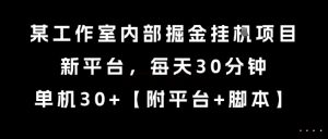 某工作室内部掘金挂G项目，新平台，每天30分钟，单机30+【揭秘】-润泽资源库