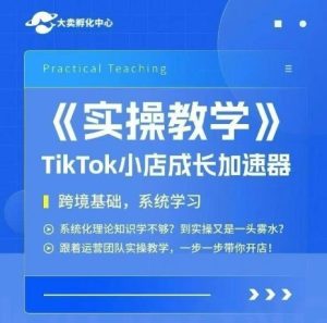 大卖家孵化中心TikTok实操课，TikTok小店成长加速器，跨境基础系统学习，一步一步带你开店-润泽资源库