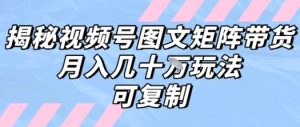 解密视频号图文矩阵带货，月入几个W的打法，可复制-润泽资源库