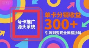 号卡推广源头系统，单卡分销收益3张+，引流到变现全流程拆解【揭秘】-润泽资源库