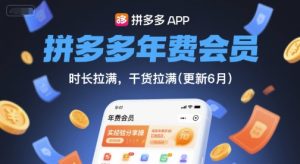 拼多多年费会员,实经验分享操,时长拉满,干货拉满(更新8月)-润泽资源库