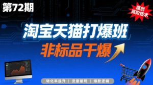 淘宝天猫打爆班原创高阶技术第72期,非标品干爆-润泽资源库