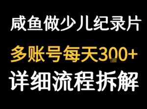 闲鱼卖纪录片1单3块钱  1天几十单-润泽资源库