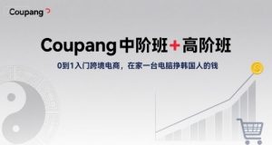 Coupang中阶班+高阶班，0到1入门跨境电商，在家一台电脑挣韩国人的钱-润泽资源库