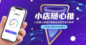 小店随心推微付费撬动自然流投手教学,小店随心推手把手教学-润泽资源库
