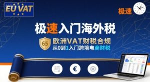 极速入门海外税,欧洲VAT财税合规,从0到1入门跨境电商财税-润泽资源库