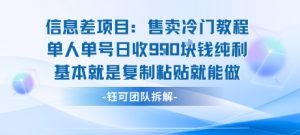 信息差项目:售卖冷门教程单人单号日收9张纯利基本就是复制粘贴就能做-润泽资源库