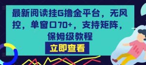最新阅读挂G撸金平台,无风控,单窗口70+,支持矩阵,保姆级教程【揭秘】-润泽资源库