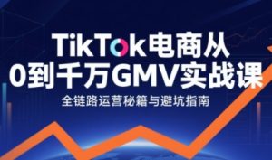 TikTok电商从0到千万GMV实战课,从0到1拆解实战秘籍-润泽资源库