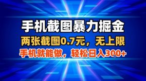 手机截图暴力掘金,两张截图0.7米,一部手机就能做,轻松日入3张+【揭秘】-润泽资源库