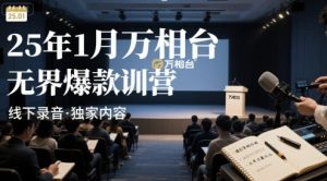 25年1月万相台无界爆款特训营线下录音-润泽资源库