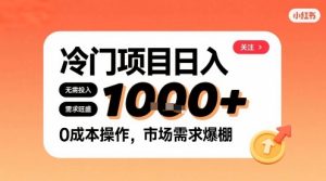 在小红书上发现个冷门路子,需求不小,零成本操作,每天能有1k进账-润泽资源库