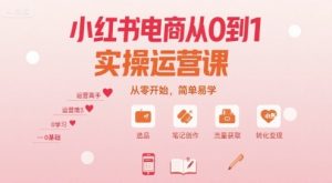 小红书电商从0到1实操运营课，从零开始，简单易学-润泽资源库
