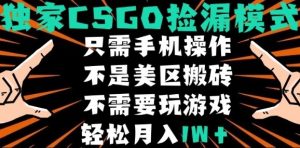 CSGO自动捡漏项目,最新独家玩法,不是美区搬砖,不需要了解和玩游戏,新手小白轻松月入1W+【揭秘】-润泽资源库
