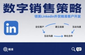 数字销售策略领英LinkedIn外贸精准客户开发-润泽资源库