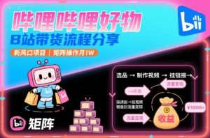 哔哩哔哩好物,B站带货流程分享,新风口项目,矩阵操作月1W-润泽资源库