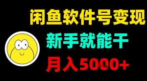 闲鱼软件号变现,新手就能干,月入5k+-润泽资源库
