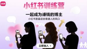 小红书训练营一起成为賺钱的博主,小红书是最适合普通人的风口-润泽资源库