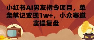 小红书AI男友指令项目,单条笔记变现1w+,小众赛道实操复盘-润泽资源库