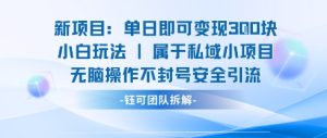 新项目单日即可变现3张的小白玩法无脑操作不封号安全引流-润泽资源库