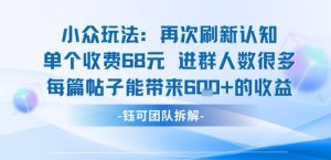 小众玩法再次刷新认知单个收费68米进群人数很多每篇帖子能带来6张的收益-润泽资源库