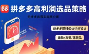 拼多多选品暴利技术实战课,拼多多高利润选品策略,拼多多限时低价标签秘诀-润泽资源库