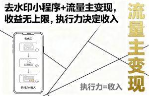 去水印小程序+流量主变现,收益无上限,执行力决定收入-润泽资源库